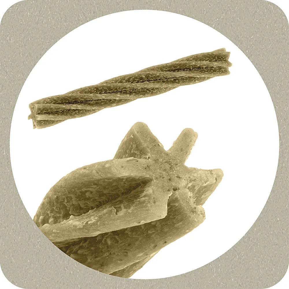 100% SNACK STICKS - FUSILLI ASCOPHILLUM