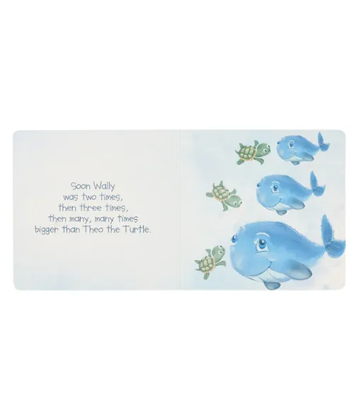 An Ocean Adventure Board Book
