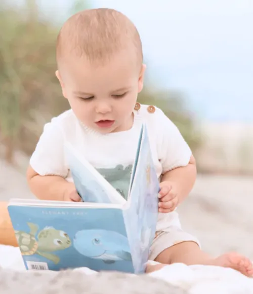 An Ocean Adventure Board Book