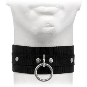 Nylon Webbed Collar