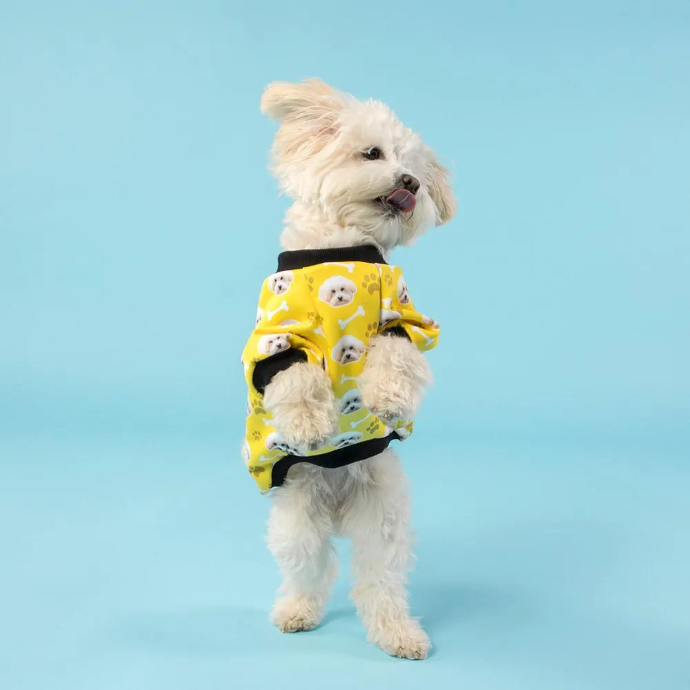 The Dogsy Jumper
