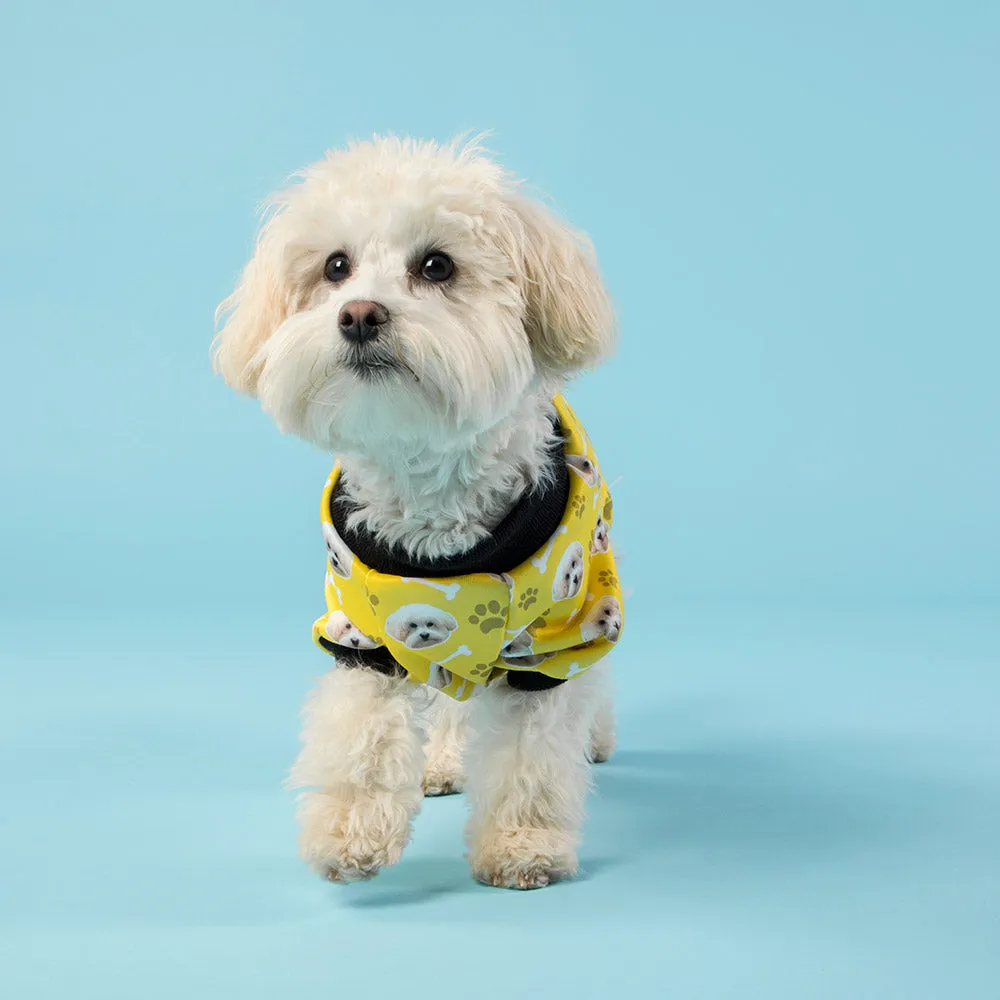 The Dogsy Jumper
