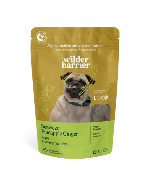 Wilder Harrier Loops Seaweed Pineapple Ginger 120g